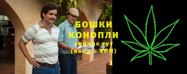 2c-b Елабуга