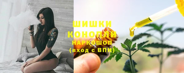 2c-b Елабуга