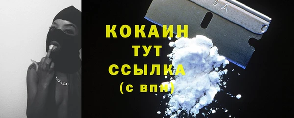 мескалин Ельня