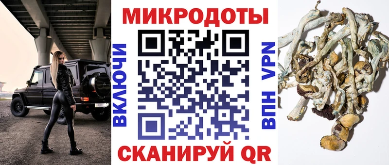 Псилоцибиновые грибы Cubensis  Кизилюрт 