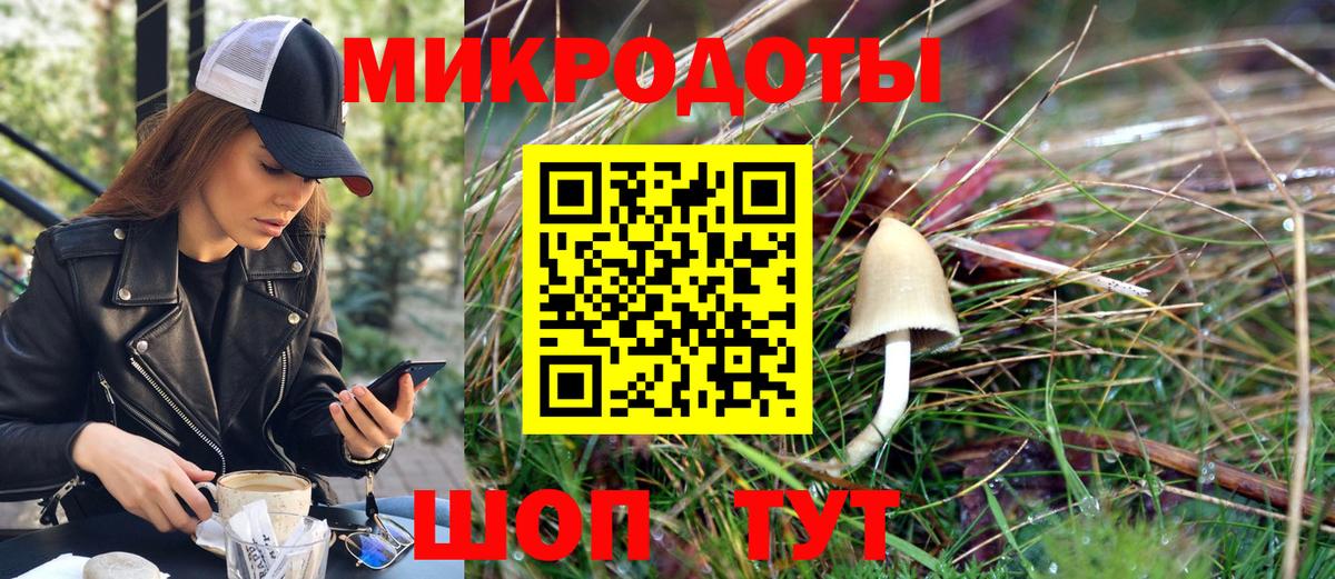 купить наркотик  Галлюциногенные грибы прущие грибы  Вход с VPN  Галлюциногенные грибы мухоморы  Кизилюрт 